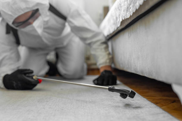 Professional Bed Bug Control technician working in Beverly Hills, CA