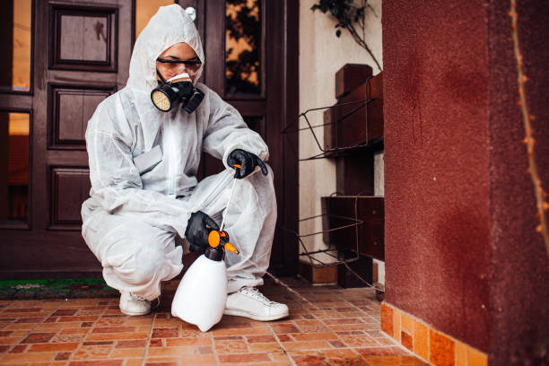 Reliable Bed Bug Control contractor in Beverly Hills, CA by Nex Pest Control